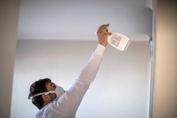 Best Mold Removal Company Near Me  in Williston, ND
